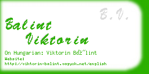 balint viktorin business card